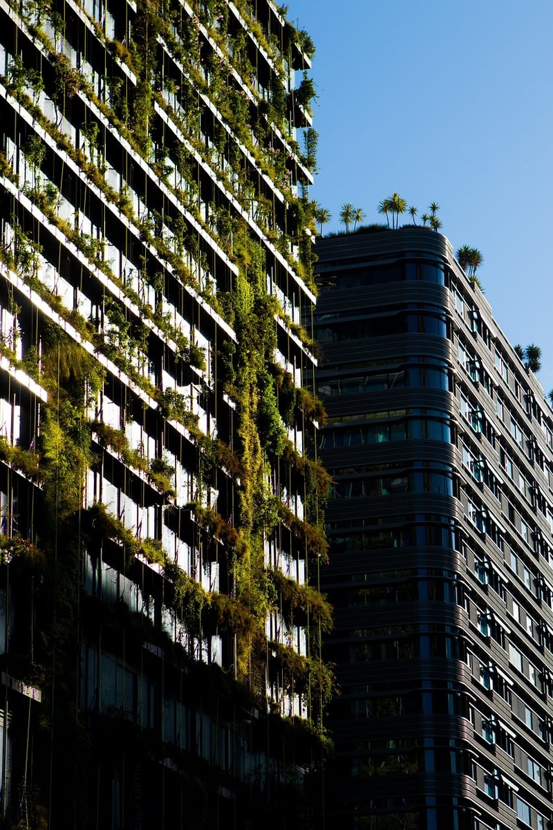 Herbs for Vertical Gardens